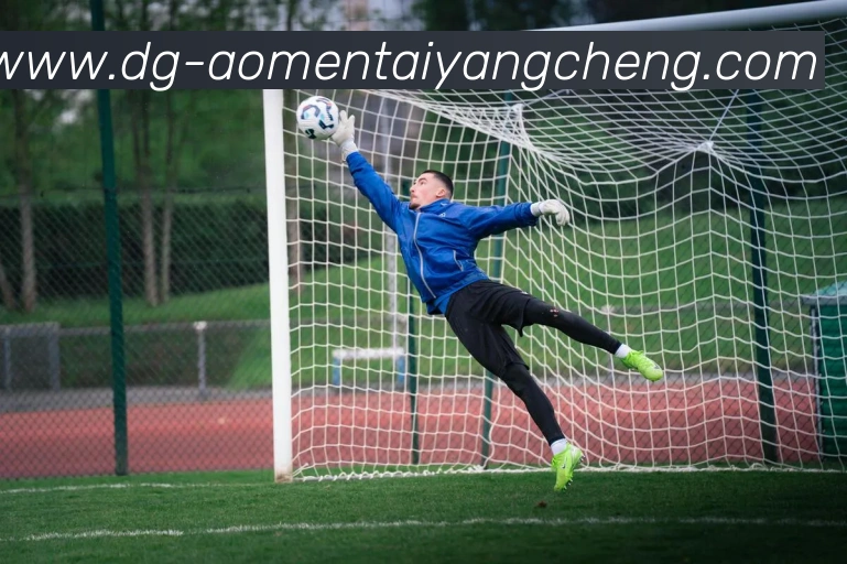 太阳城网站平台生态图